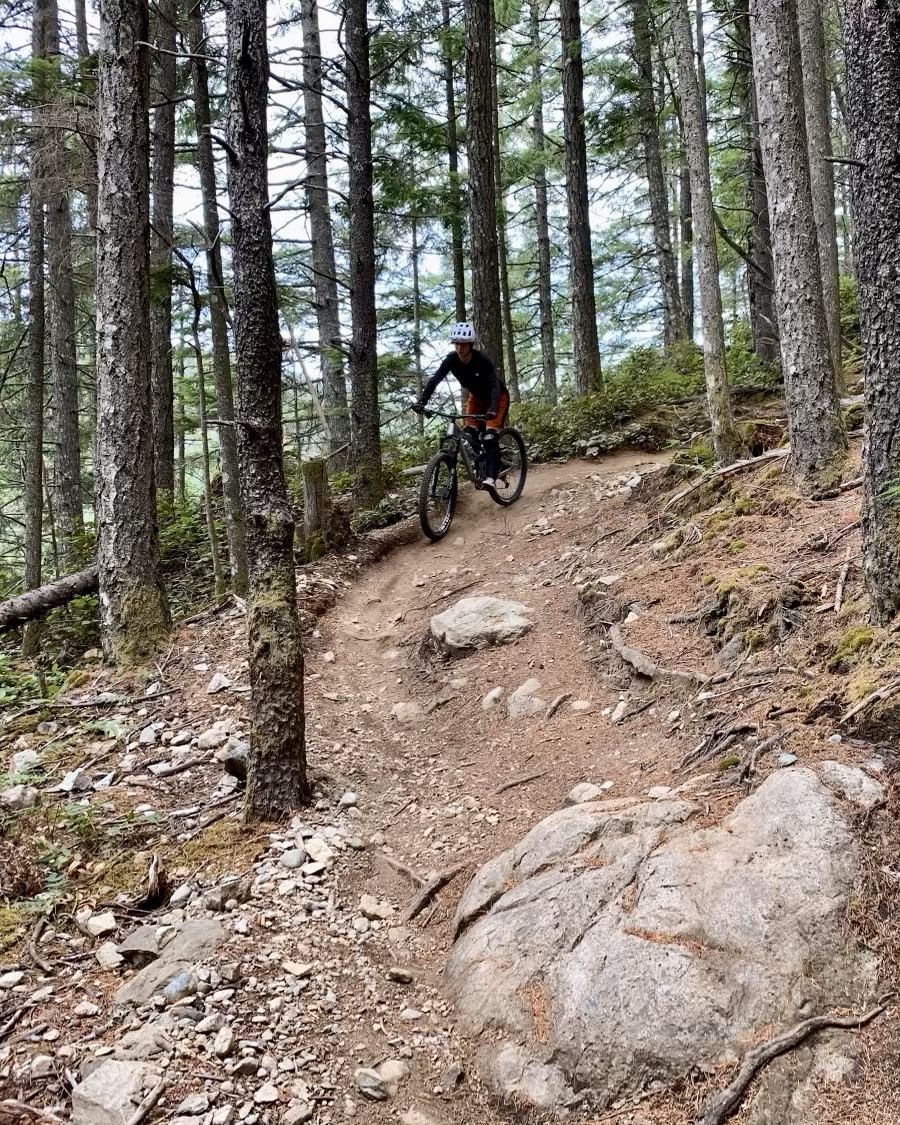 Whistler Guide to Mountain Biking Adventures