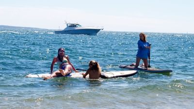 A group of friends paddle boating near Falmouth Tides