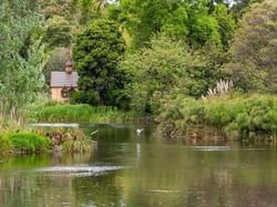 Landscape view of the Lake in Royal Botanical Garden near Brady Hotels Jones Lane