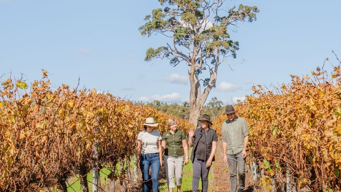 Forage Safaris need Pullman Bunker Bay Resort