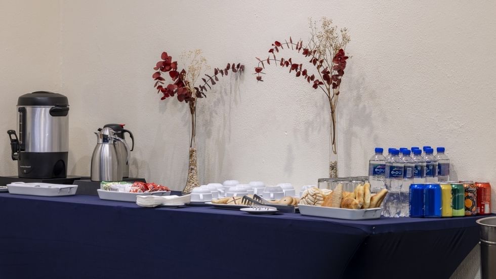 Fiesta Inn Cuernavaca