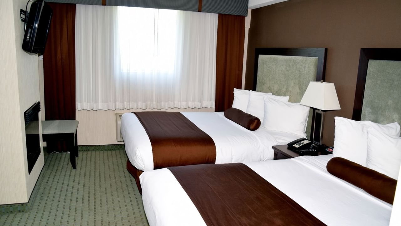 Two beds with brown and white bedding, nightstand with lamp, TV, and window with curtains.