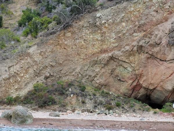 View of Paradise Cove with lush green trees near Catalina Island Company