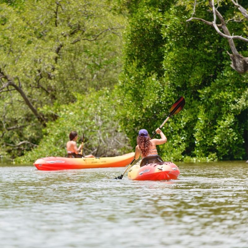 Guests kayaking on calm water near the reserve