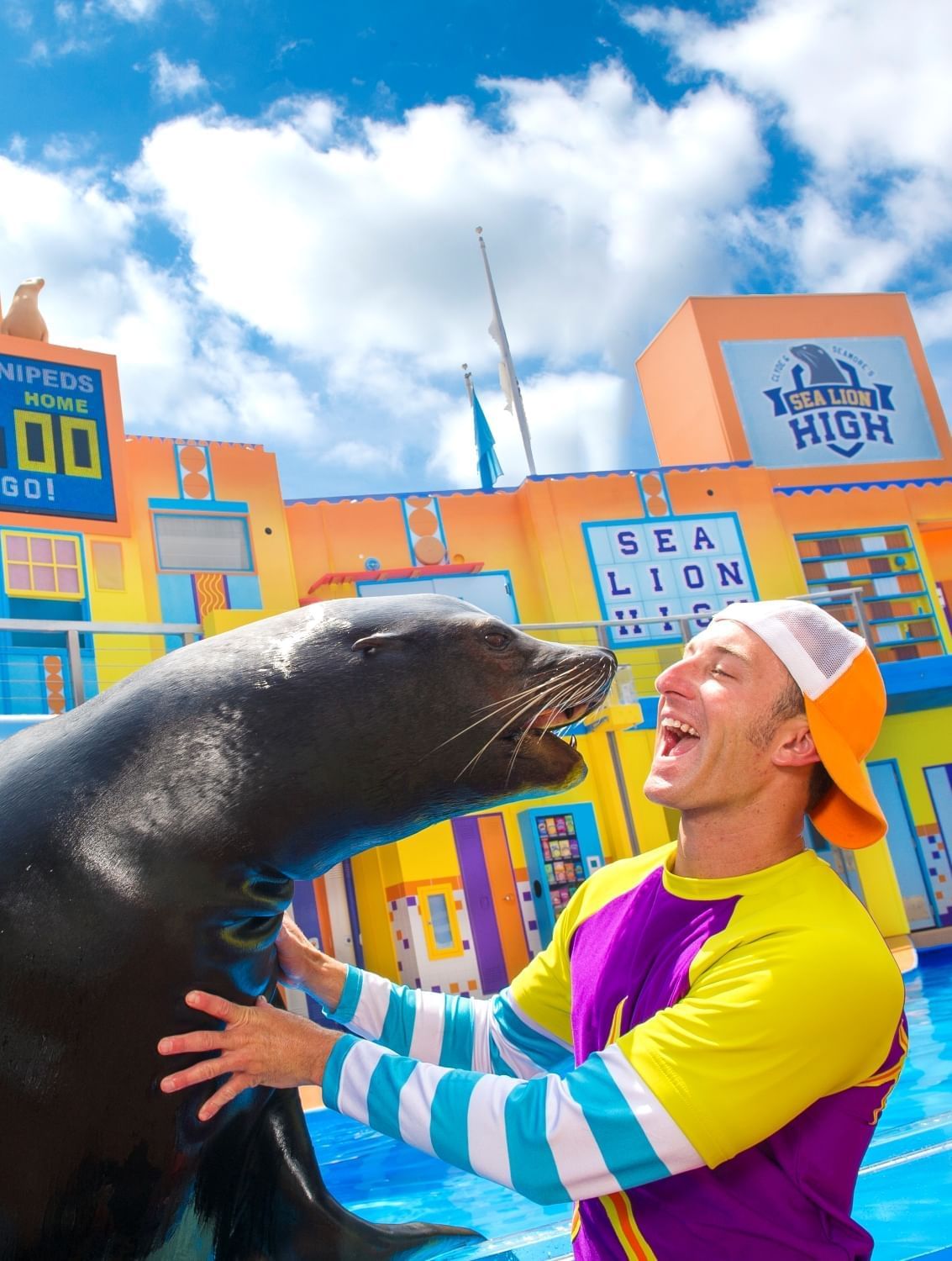 A man in a colorful shirt and backwards baseball hat smiles and embraces a sea lion in front of a pool and a colorful yellow, orange, and blue set.