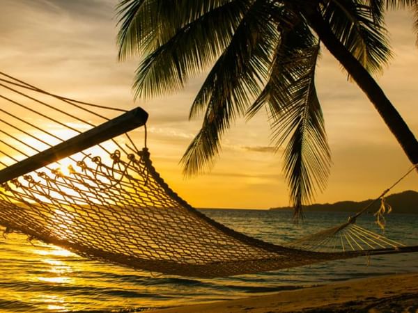 Hammock by the ocean sunset