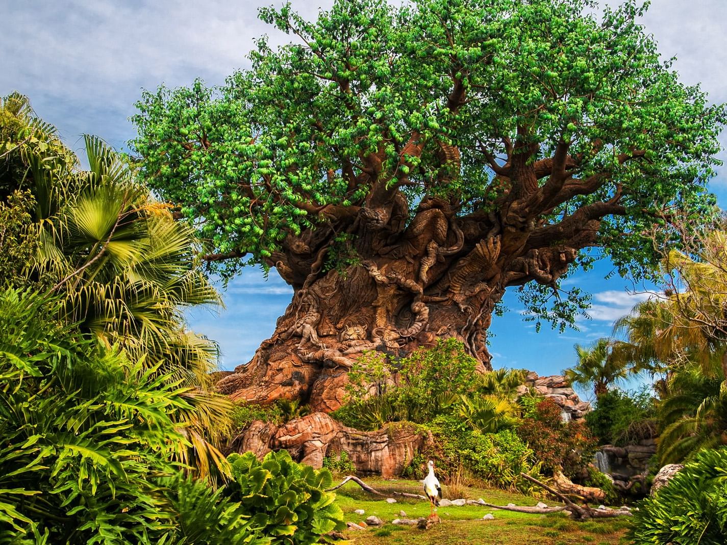 Disney's Animal Kingdom Theme Park near Lake Buena Vista Resort Village & Spa