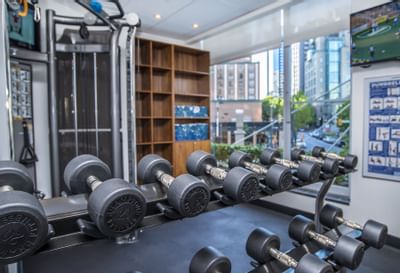 Set of dumbbells on a weight rack