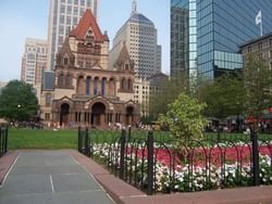 flowers in a grassy area in between buildings