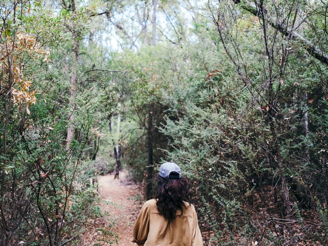 A woman walks along a dirt path through a dense green forest near The Sebel Mandurah