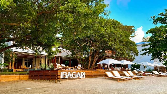 Hamacas y sombrillas al aire libre en Ibagari Boutique Hotel