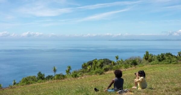 Two visitors enjoying ocean views from the grass at Shakespear Regional Park in New Zealand