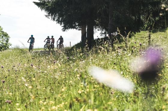 Radfahren rund um das Schloss