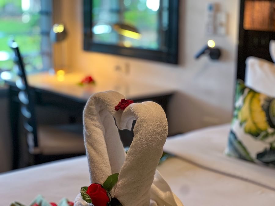 Close-up of a white towel swan heart featuring red roses in One Bedroom Villa at TokaToka Resort Nadi Fiji