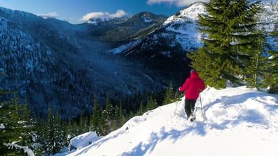 Hiker traveling through a snowy mountain landscape with tall trees and peaks near Hotel Park City Autograph Collection