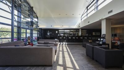 Ari's bar 2