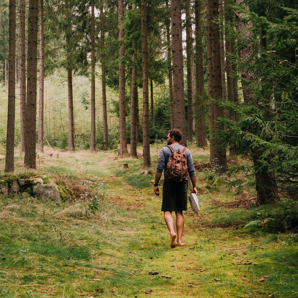 A solo traveler walking into a forest near Falkensteiner Hotels