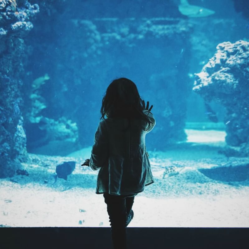 Dallas World Aquarium near Warwick Melrose - Dallas