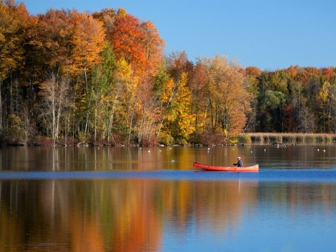 A beautiful view of the laurel lake near The Inn of Waterloo