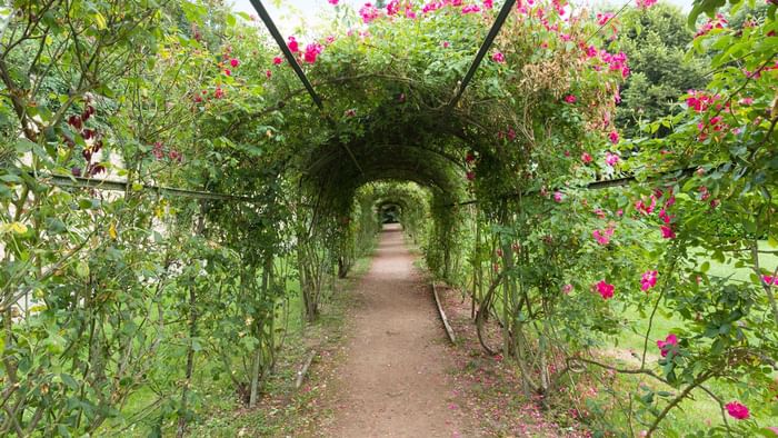 Garden with flowers Hotel Nevers Centre Gare