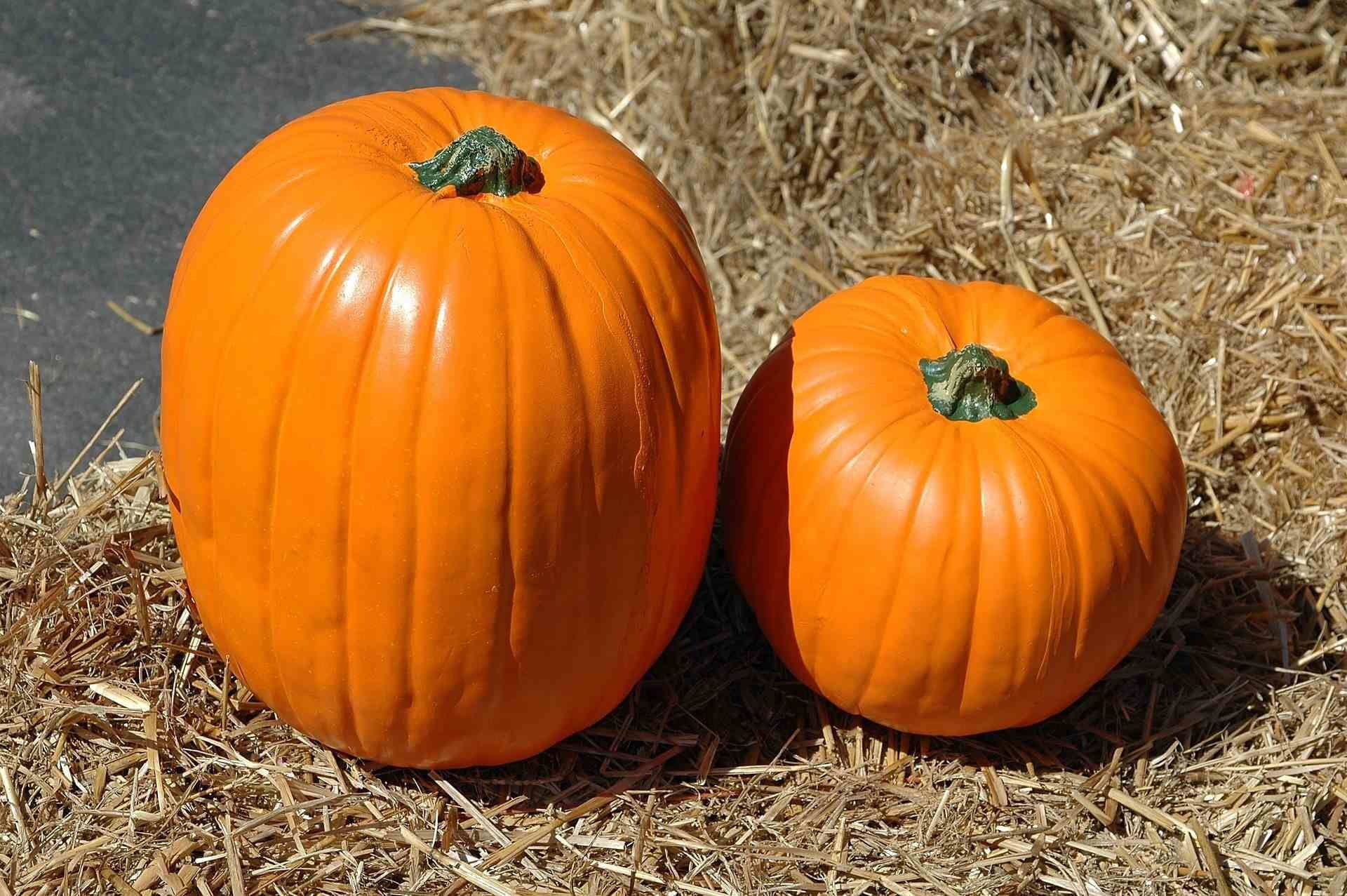 two pumpkins