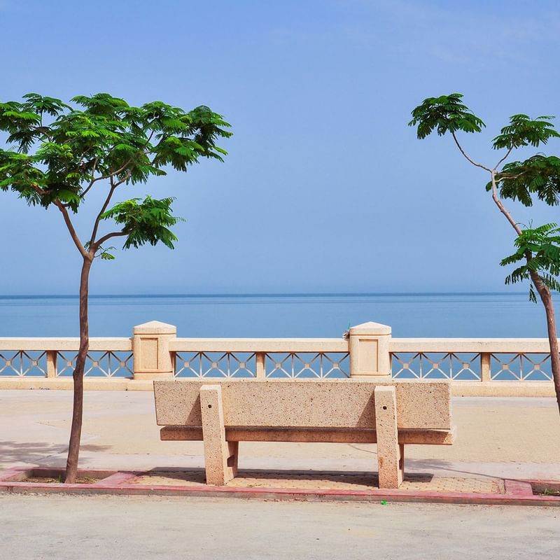 Scenic Al khobar ocean view featuring a stone bench and two leafy trees, with calm seas near Warwick Hotels and Resorts