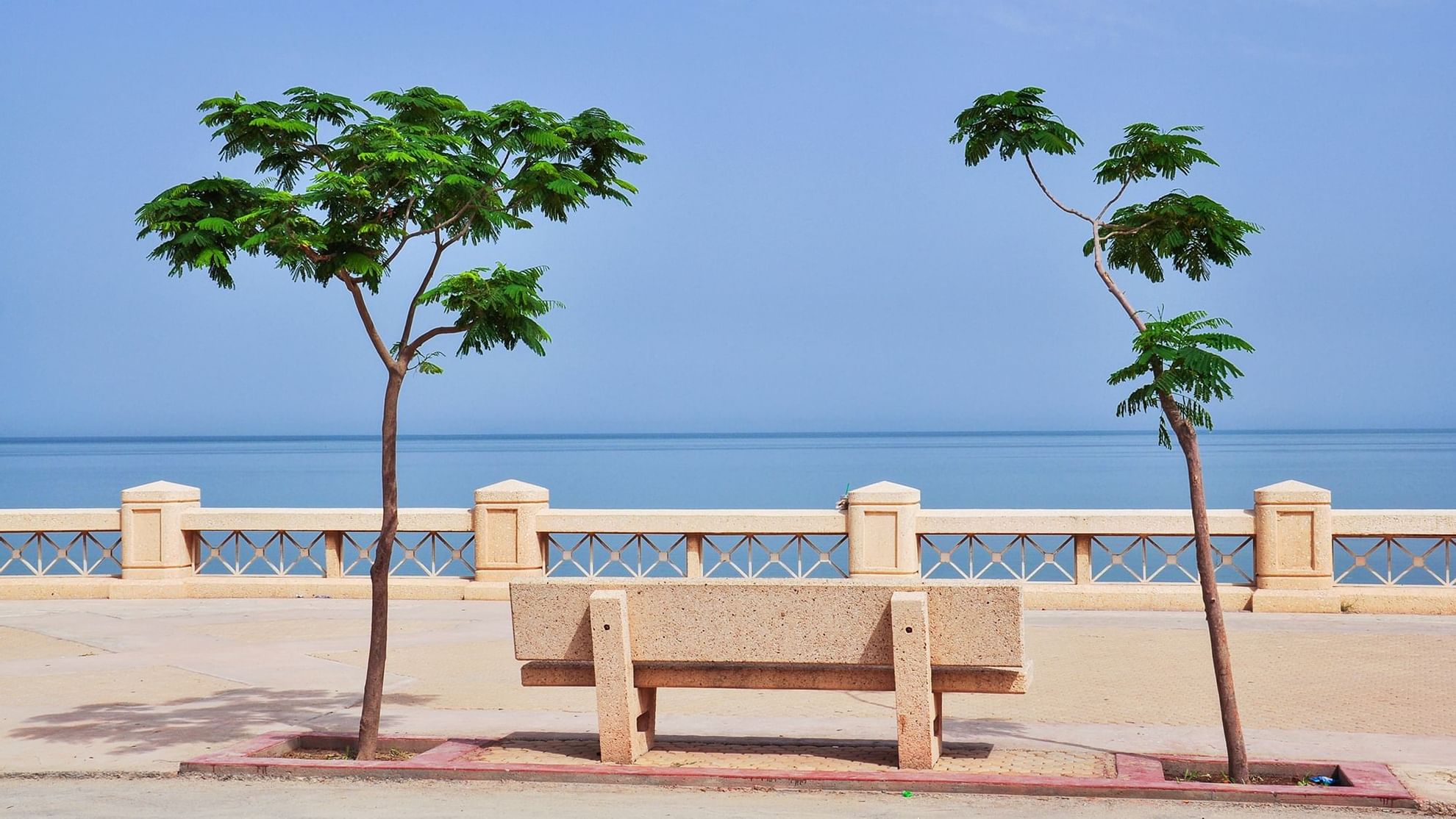 Scenic Al khobar ocean view featuring a stone bench and two leafy trees, with calm seas near Warwick Hotels and Resorts