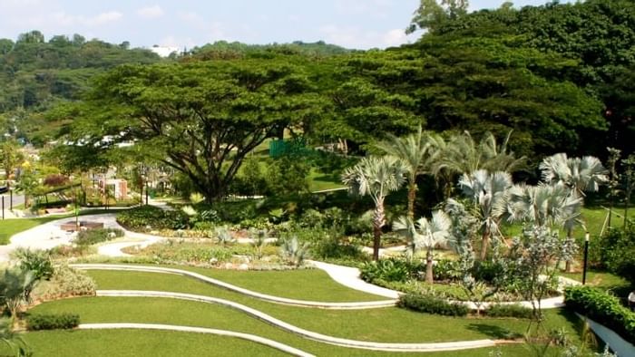 Landscape view of Hort Park near Momentus Hotel Alexandra