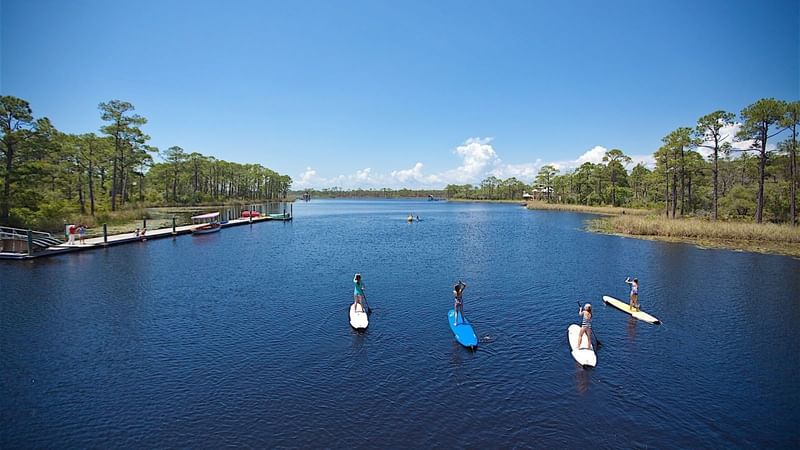 4 people stand up paddleboard in the lake near WaterColor Inn