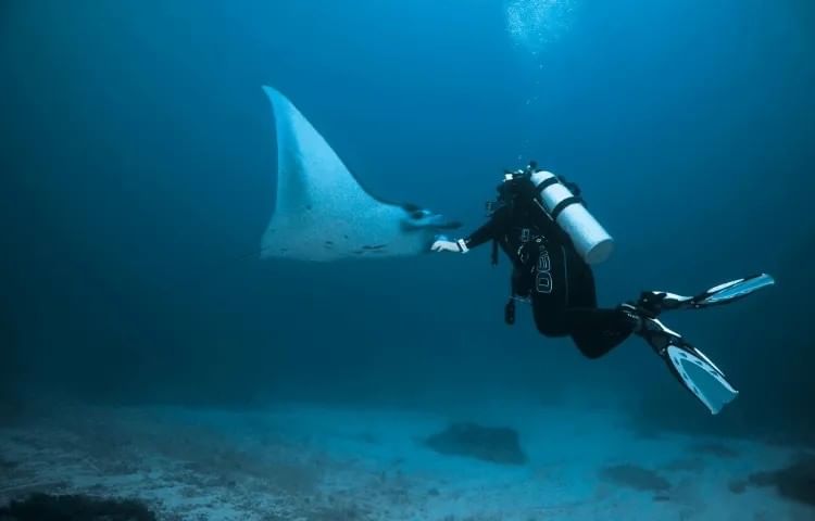 Best Resort Diving | Grand Park Kodhipparu, Maldives