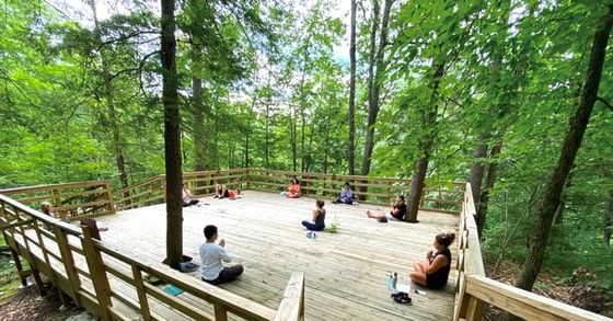 People meditating on a dock in the woods near Honor’s Haven Retreat
