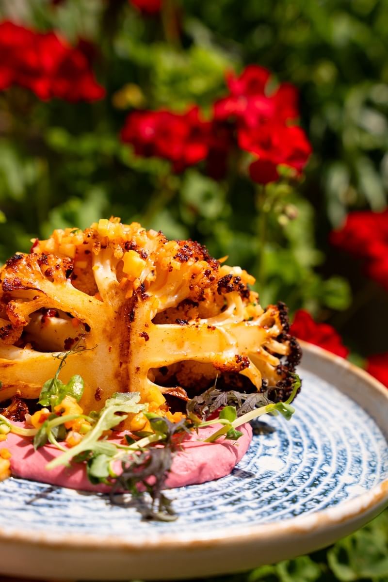 Houmous de betterave, chou-fleur rôti et salade d’herbes 