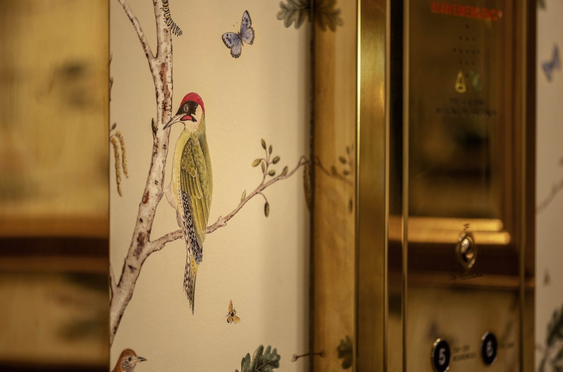 Wall covering with a green woodpecker on a branch by a gold elevator panel at The Capital Hotel, Apartments and Townhouse