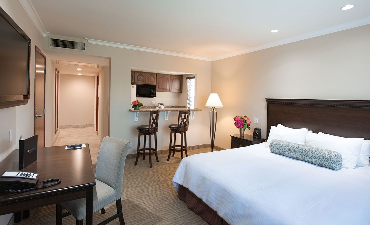 Mini Suite