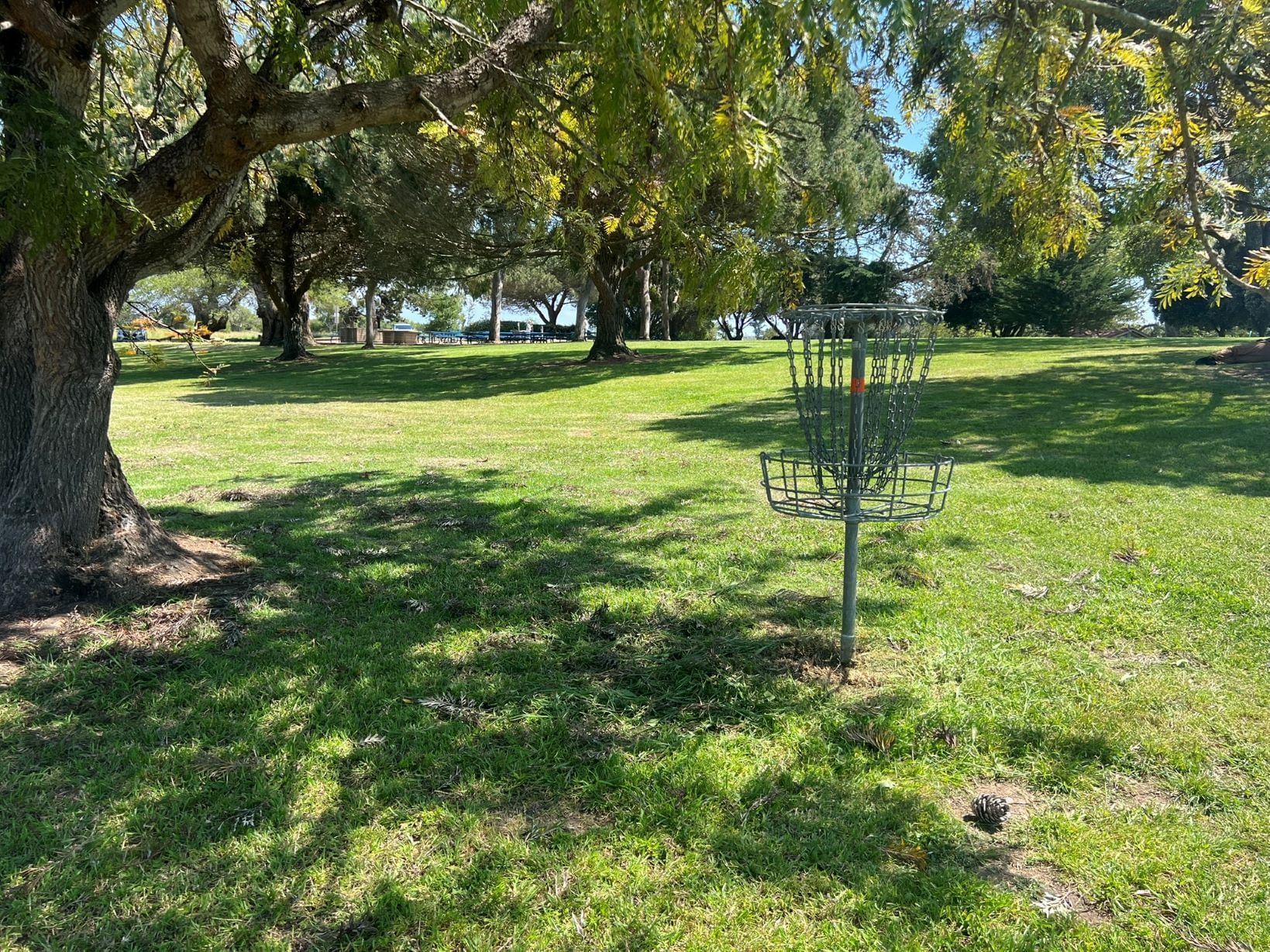 Laguna Lake frisbee golf hole