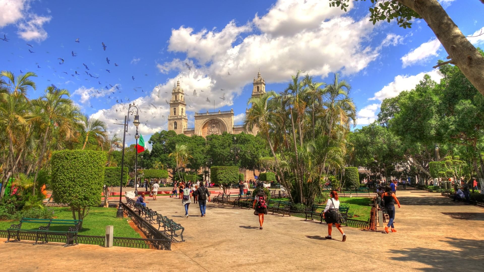 Historic Mérida Center featuring the historic cathedral, lush palms, and a sunny sky near Camino Real Merida