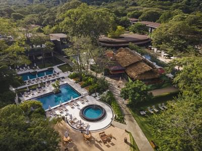 Aerial view of pools, sun loungers and lush greenery at El Mangroove Hotel