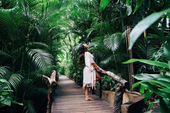Woman walking a tropical wooden bridge surrounded by dense green palm leaves at Cala Luna Boutique Hotel