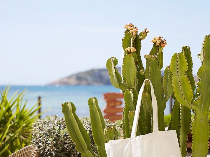 Detail at Nobu Hotel Ibiza Bay