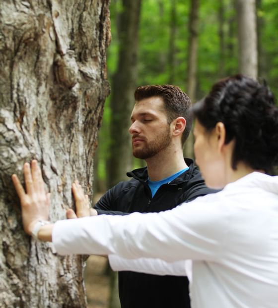 People touching tree during nature meditation healing