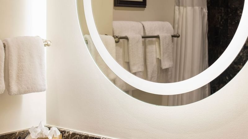 Bathroom of Deluxe double room at Warwick San Francisco