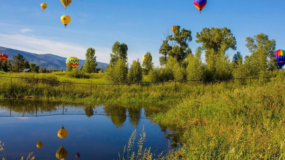 Pegasus Balloon Tours near Legacy Vacation Resorts