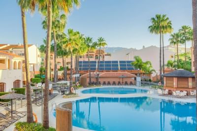 Los Amigos Beach Club Outdoor Swimming Pool with Palm Trees in t