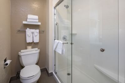 a toilet and shower in a hotel bathroom
