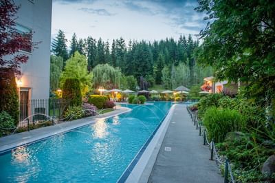 Long narrow pool beside a walkway with bright lights glowing under the trees at Hilltop Inn Salmon Arm