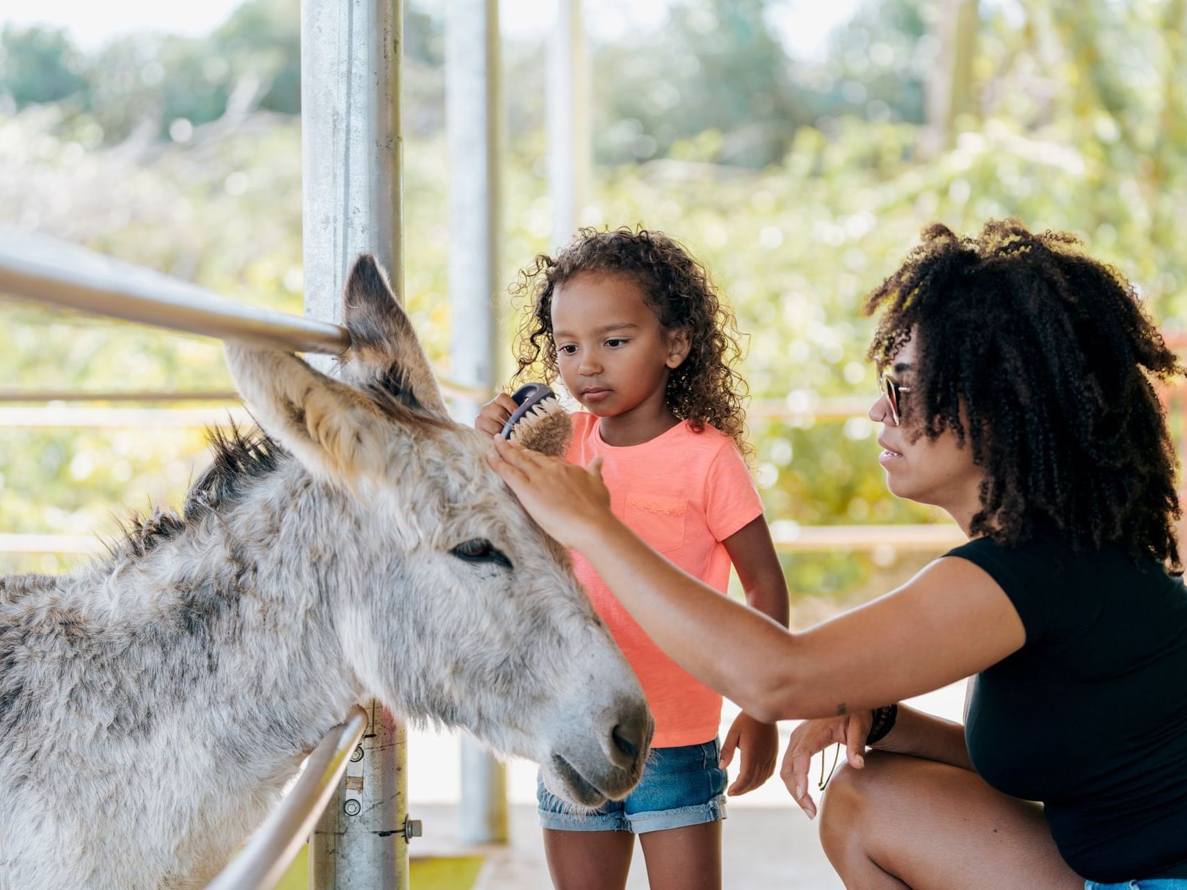 Mother & daughter petting a donkey in the Aruba Donkey Sanctuary near Passions on the Beach