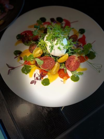 Gourmet salad served in Osteria 31, one of the best restaurants in Lausanne at Starling Hotel Lausanne