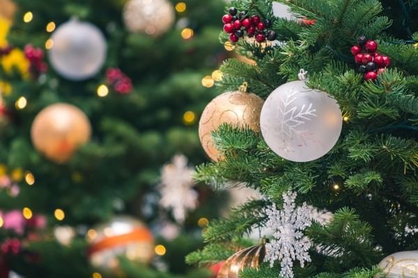 Alt text: Kick off the Christmas season by attending The Festival of Trees at Orlando Museum of Art.  