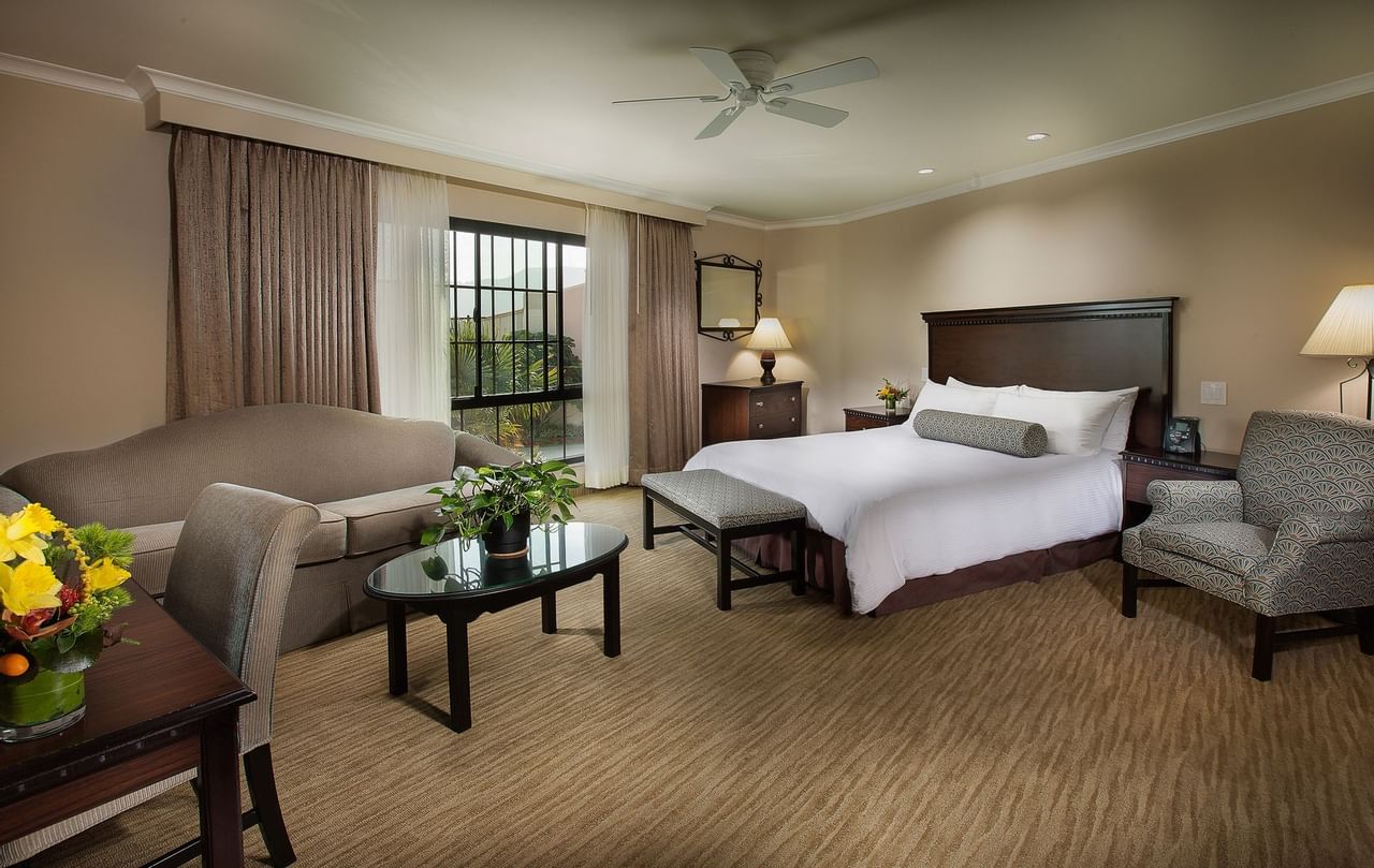 Deluxe Junior Suite