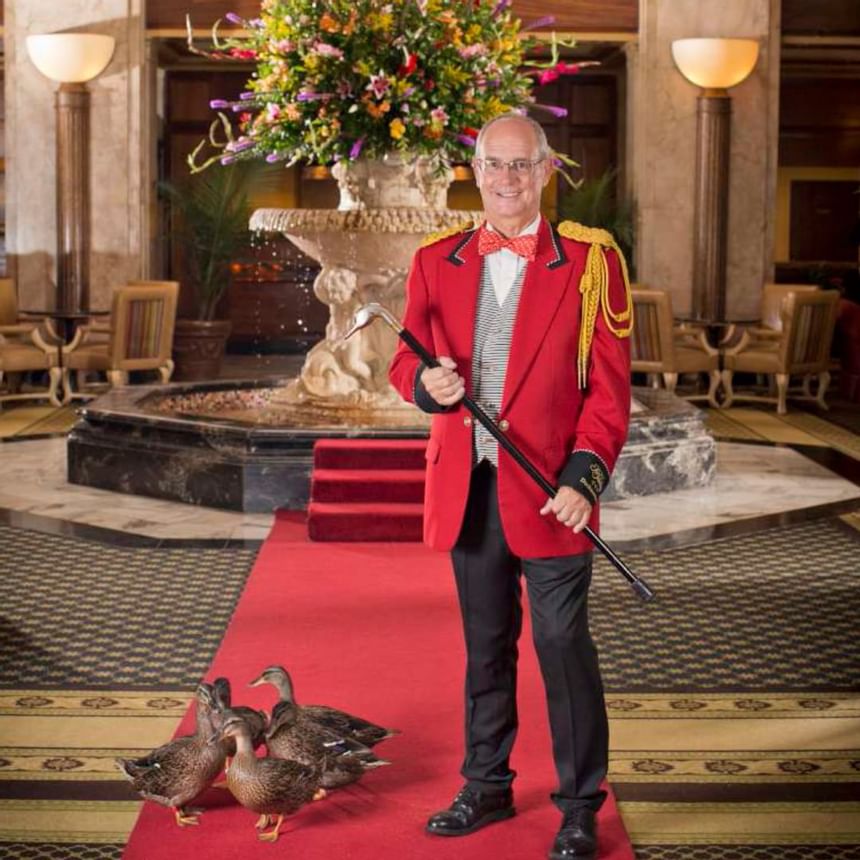 Caretaker of Peabody Ducks at Peabody Hotels & Resorts in 2016